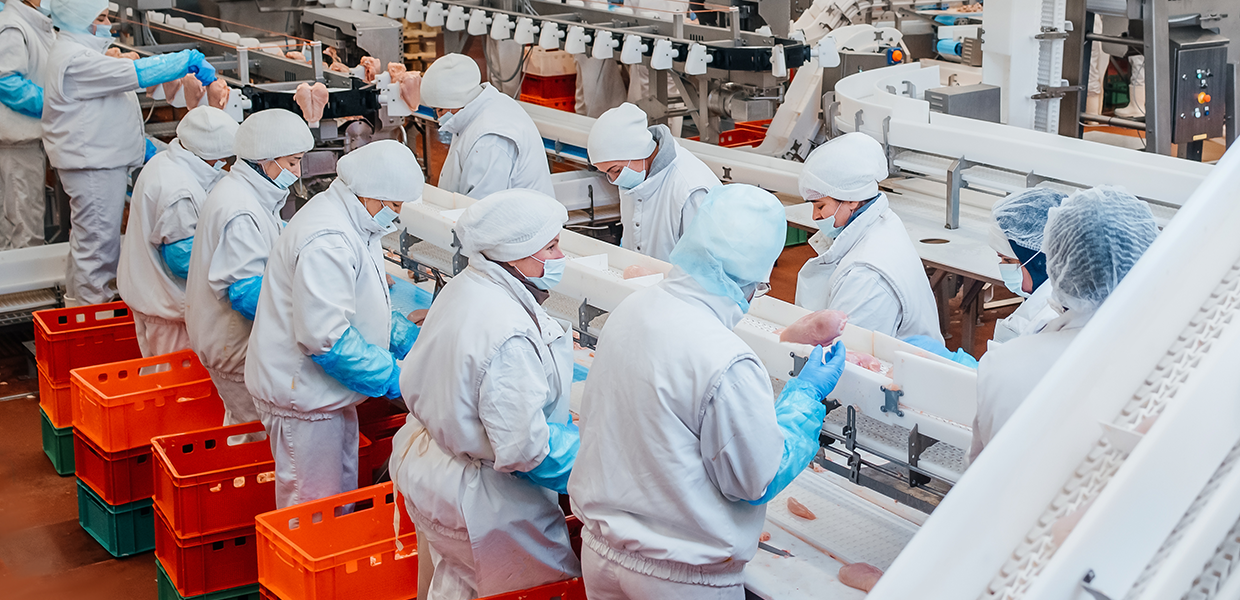 Ligne de production alimentaire dans une usine agroalimentaire.